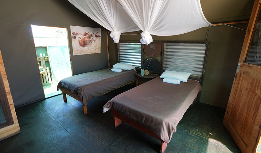 Namibia Spitzkoppe Mountain Spitzkoppe Tented Camp