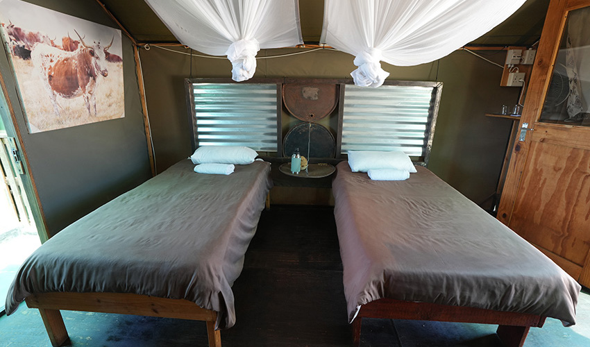 Namibia Spitzkoppe Mountain Spitzkoppe Tented Camp