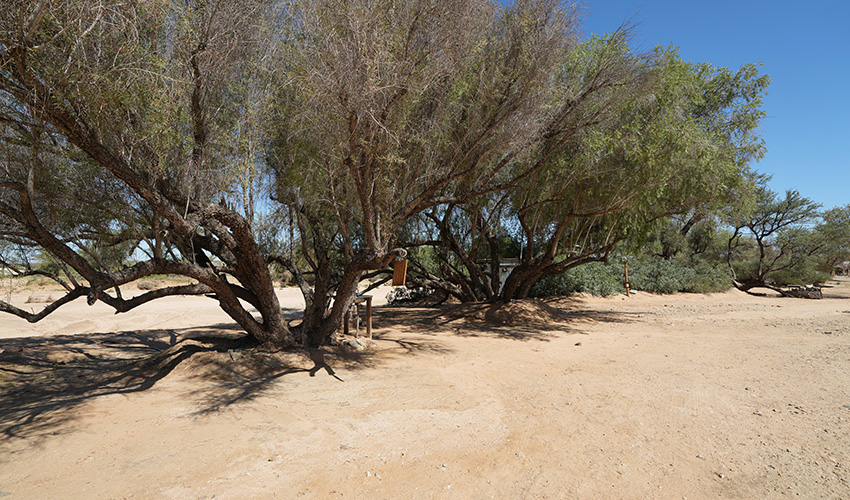 Namibia Spitzkoppe Mountain Spitzkoppe Tented Camp